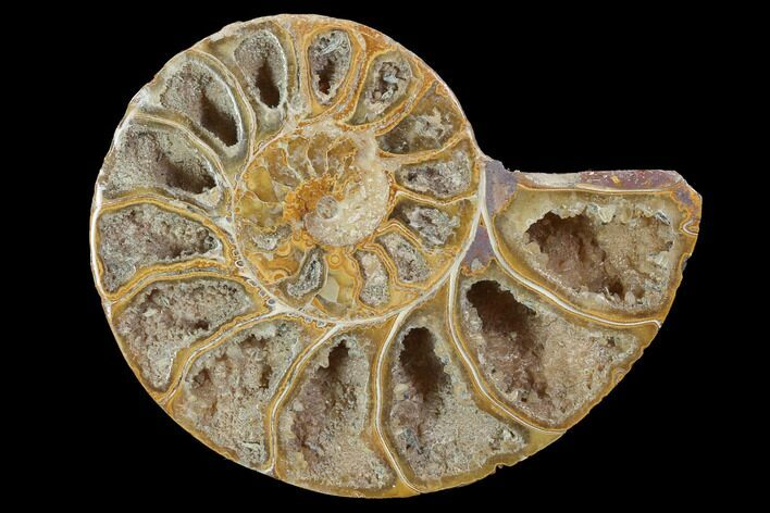 Sliced, Agatized Ammonite Fossil (Half) - Jurassic #100550